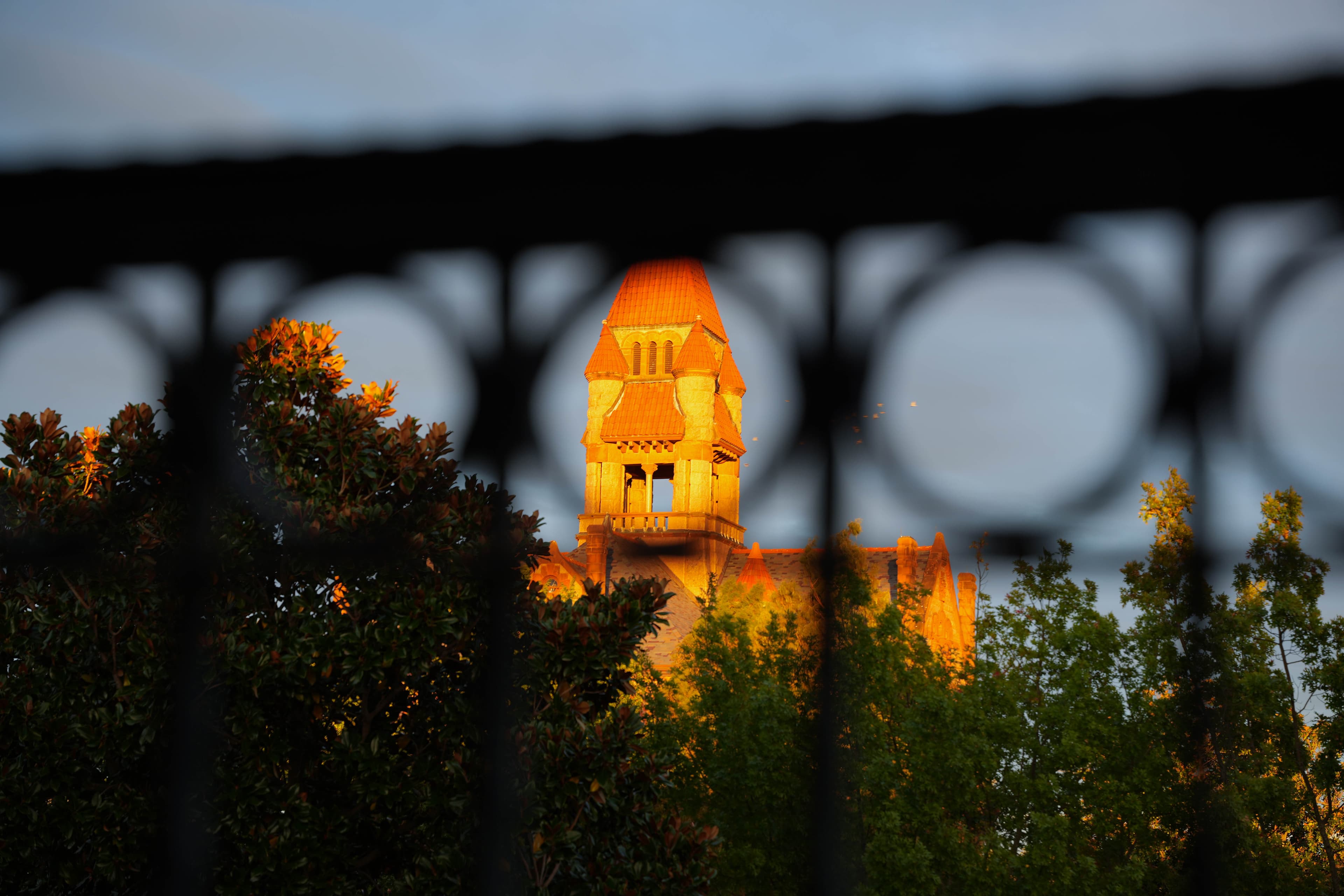 View of the orange-lit rooftop tower of an old courthouse, framed through the black wrought iron railing and foliage, likely at sunset or sunrise.