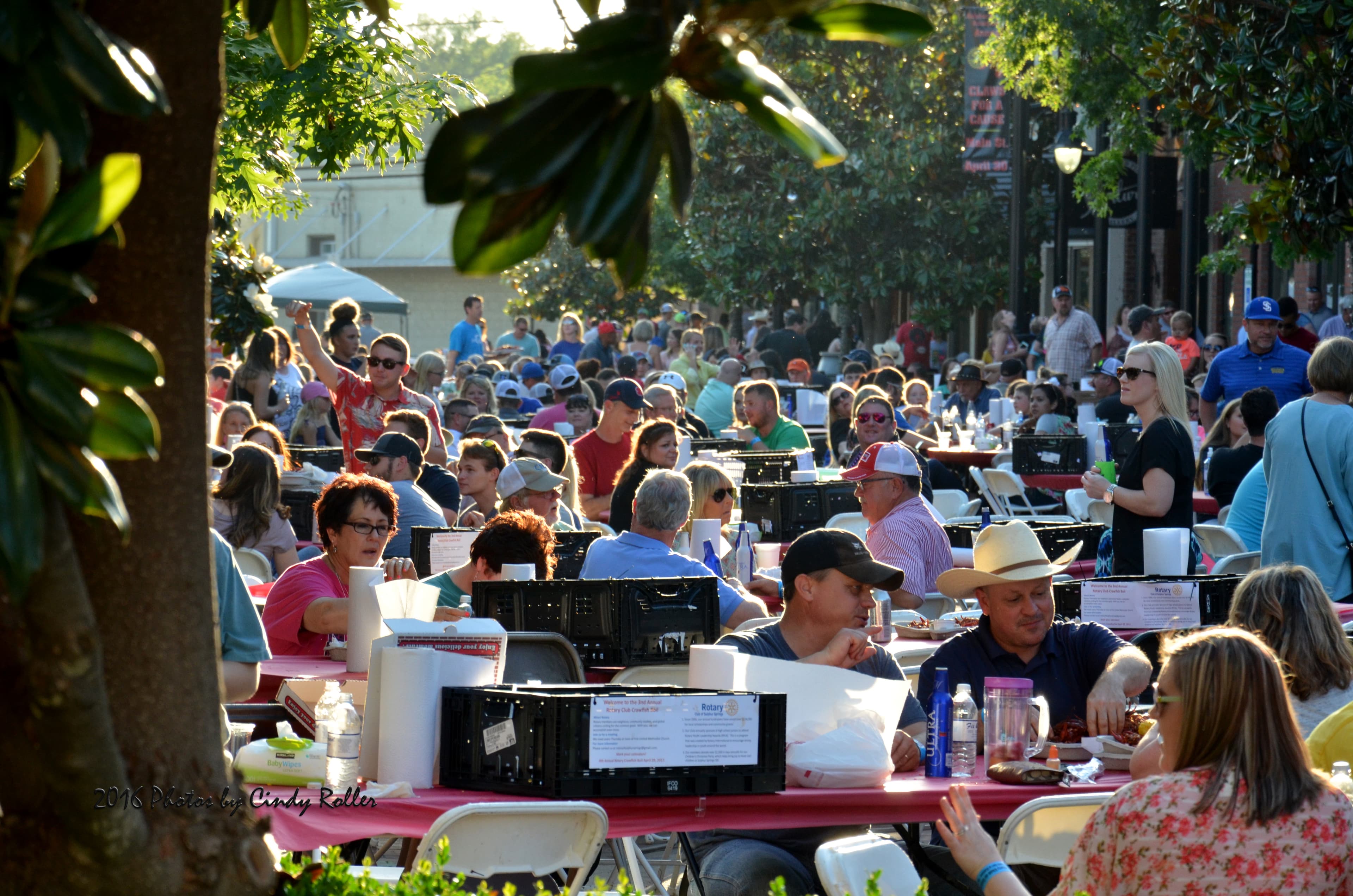A crowded outdoor event with people dining at tables under trees.