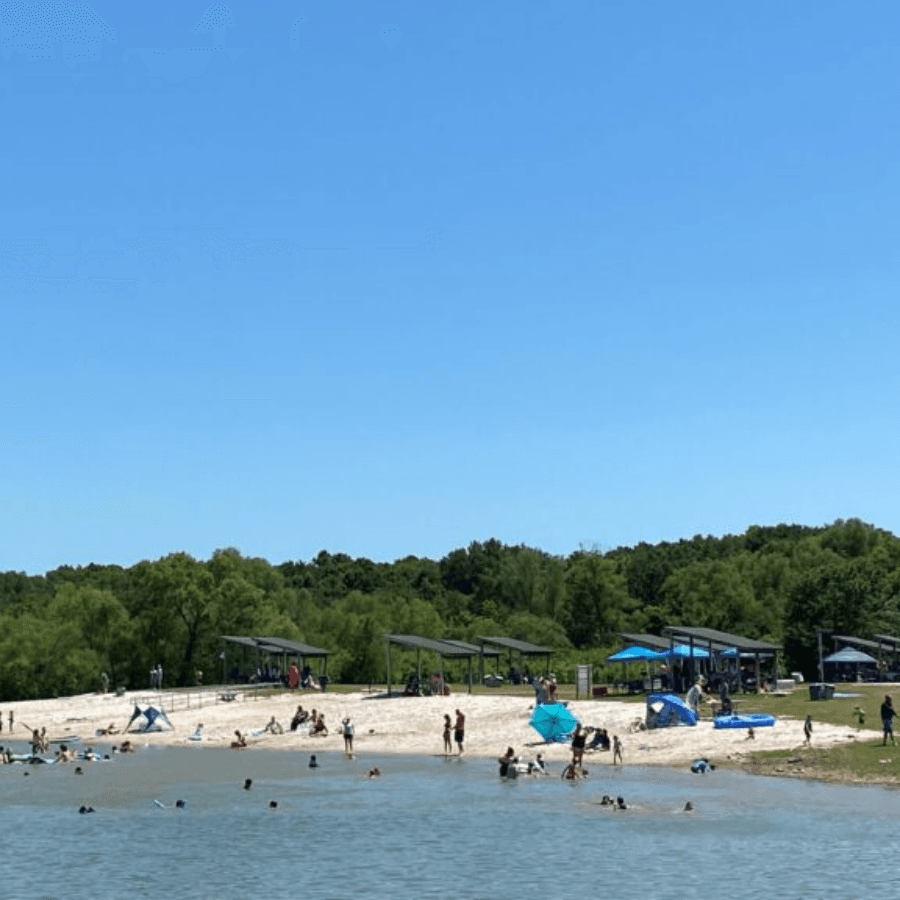 A sunny beach scene with people swimming and relaxing under blue skies and green trees.
