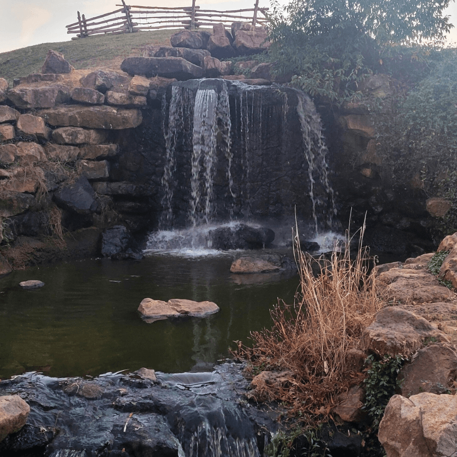 A small waterfall cascades over rocks into a serene pond surrounded by vegetation.